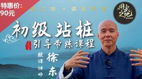 初级站桩引导带练课程【在线观看，无需发货】