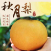 【正宗山东莱阳秋月梨】产地直发 清润爽甜 汁水丰富 商品缩略图0