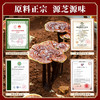 元生泰 灵芝红茶5g*10袋  武夷山灵芝正山小种红茶 科学配比 商品缩略图4