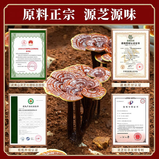 元生泰 灵芝红茶5g*10袋  武夷山灵芝正山小种红茶 科学配比 商品图4