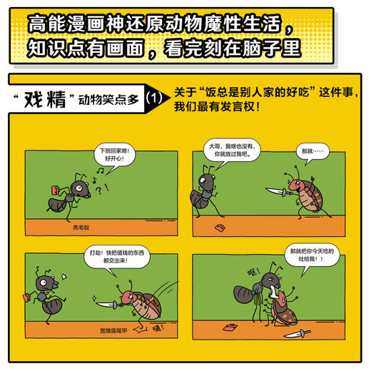 《谢耳朵漫画·动物大爆炸》全5册 商品图3