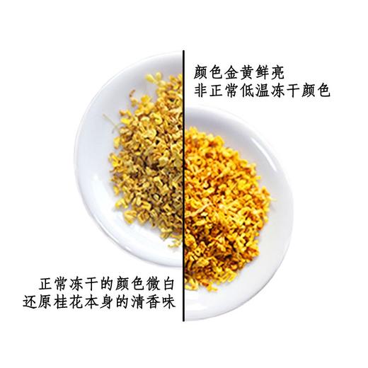 佳藕天成 特级金桂 商品图1