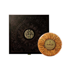 东阳光冬虫夏草 冻干虫草50g 3~4根/克 高档实木礼盒装