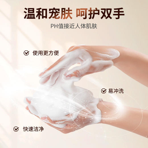 泡沫洗手液酒店同款 商品图2