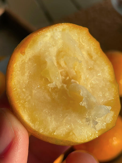 脆蜜金柑丨今年气候原因，果皮略厚，纯甜无酸，果皮硬脆带桔香，果肉细腻化渣，带皮吃无辛辣味⭐️顺丰/京东 商品图4