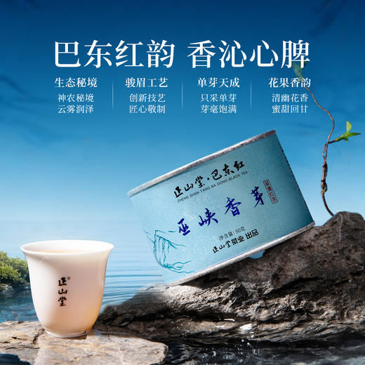 正山堂 巴东红巫峡香芽 骏眉中国湖北特级红茶单芽茶叶蜜香罐装50g 商品图2