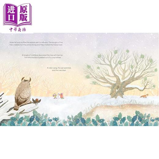 【中商原版】大橡树 The Great Oak Tree 英文原版 儿童绘本 图画故事书 自然四季百科知识 植物树木 进口童书 精装 3岁以上 商品图3