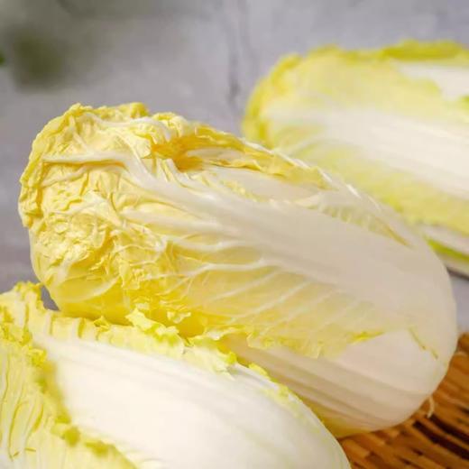 陕西高原沙地精品娃娃菜 脆甜可口 商品图2