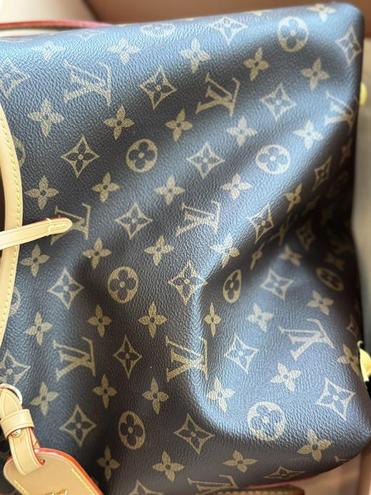 驴家新款Carry-all  小号老花子母托特包购物袋（顺丰包邮） 商品图4