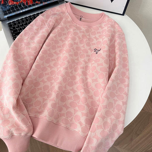 蔻家粉色满印小恐龙卫衣刺绣提花卫衣 商品图11