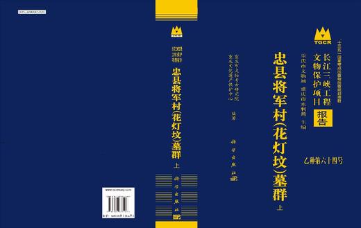 忠县将军村（花灯坟）墓群（全三册） 商品图3