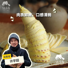 野生冬笋| 合作生产* Wild winter bamboo shoots|Partner Production