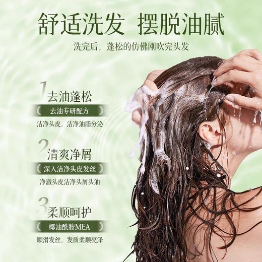 500ml洗发水宾馆酒店居家家庭装大桶浓香洗发膏护发素沐浴露300ml 商品图1