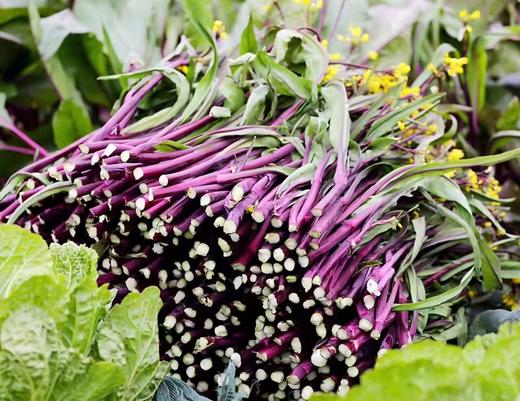 霜打洪湖红菜苔 冬日限定的舌尖珍宝 商品图2