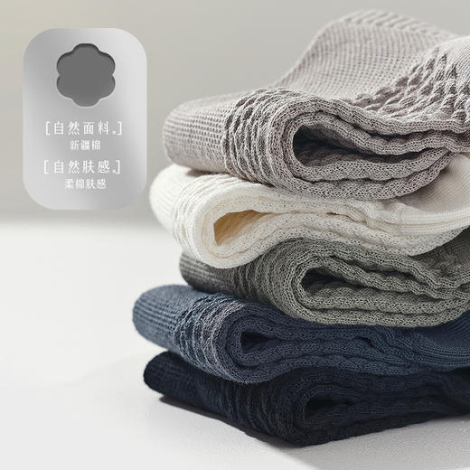 【国标消臭认证 7A级抗菌】猫人薄款消臭短袜 新疆精梳棉 吸汗透气 柔软亲肤 商品图1