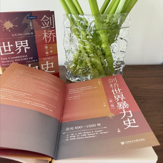 剑桥世界暴力史（第二卷）：公元500—1500年（全2册） 商品图2