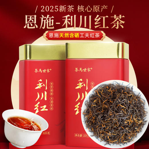 恩施利川红功夫红茶一级浓香型高山硒茶450g双罐自饮装 CM 商品图0