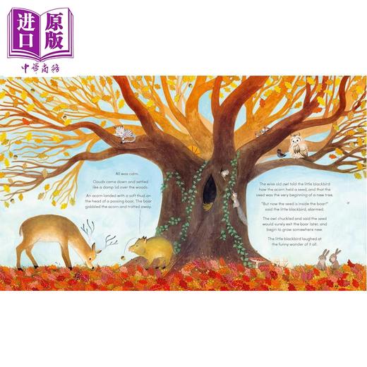 【中商原版】大橡树 The Great Oak Tree 英文原版 儿童绘本 图画故事书 自然四季百科知识 植物树木 进口童书 精装 3岁以上 商品图2