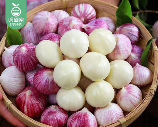 【叼鲜蔬】云南精选独头蒜/1份（约200g） 商品图3