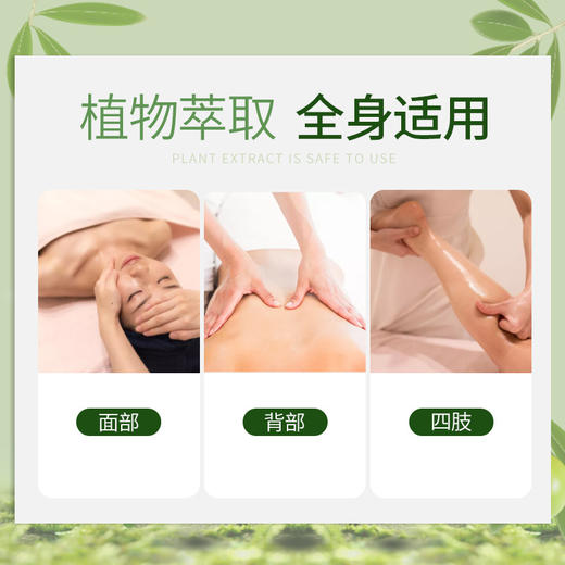 橄榄精油身体通经络肩颈刮痧油美容院开背面部生姜橄榄油 商品图1