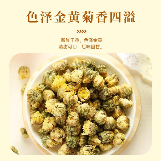 【特惠29.9】东篱下小胎菊70g-（效期至26年5月8日）-专享价 商品图3