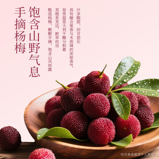 【新品】梅见杨梅青梅酒330ml*2瓶 商品图4