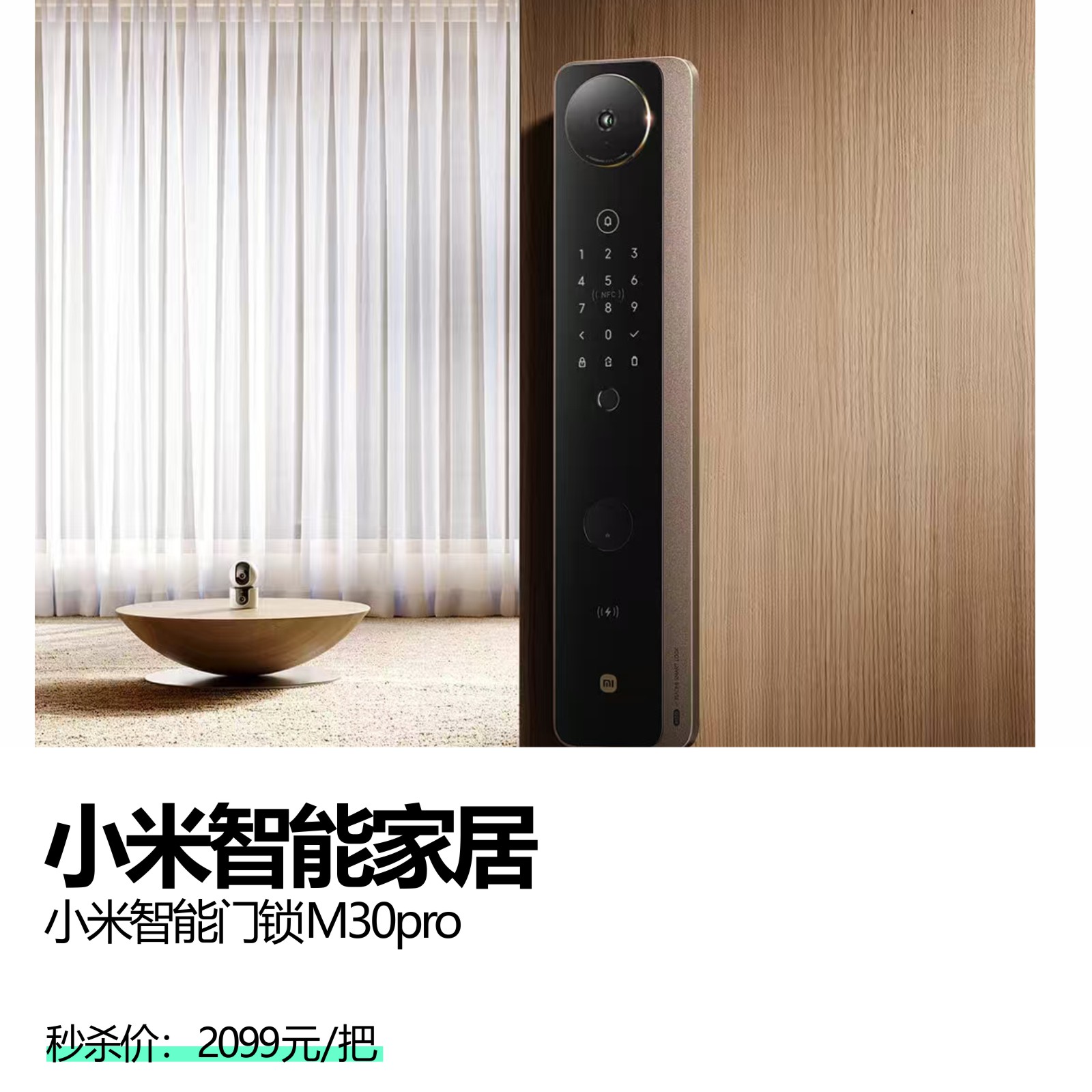 小米智能家居 小米智能门锁M30pro