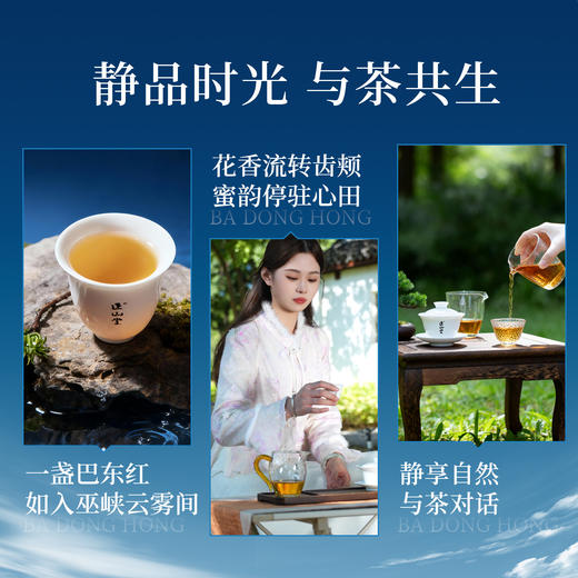 正山堂 巴东红巫峡香芽 骏眉中国湖北特级红茶单芽茶叶蜜香罐装50g 商品图4