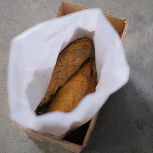 野生冬笋| 合作生产* Wild winter bamboo shoots|Partner Production 商品图5