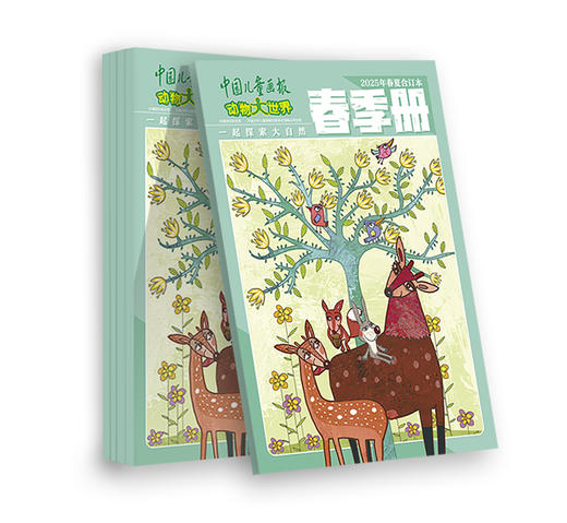 动物大世界2025上半年合订本 春季册+夏季册 商品图2