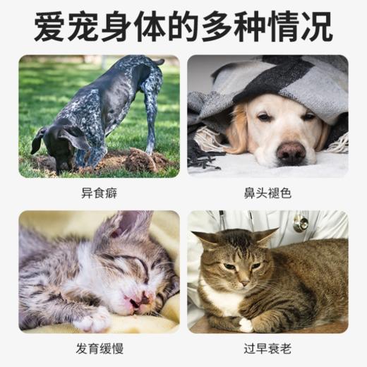 【新品】德国 cdVet 施德维特 微矿物粉 150g 商品图1