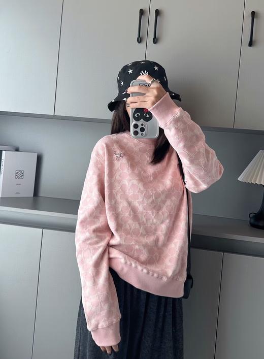 蔻家粉色满印小恐龙卫衣刺绣提花卫衣 商品图4