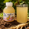 300ml 腾铭  无花果西洋参元气饮   威海特产伴手礼 西洋参无花果水果饮品饮料 商品缩略图0