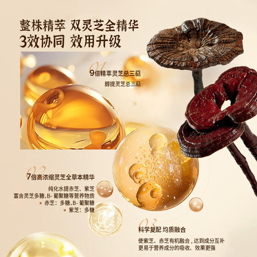 【官芝堂】双灵芝原浆（210ml（30ml*7袋）） 商品图1