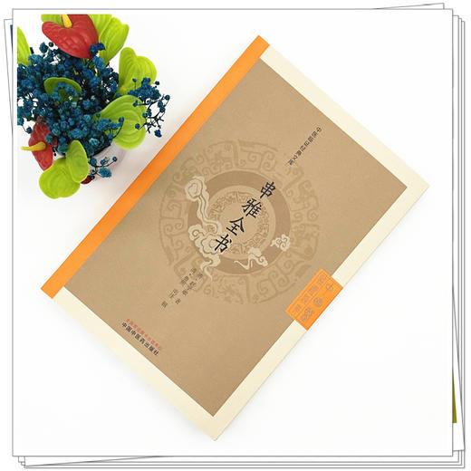 串雅全书（清）赵学敏 著（中医临证经典文库） 中国中医药出版社 明清中医临证小丛书 商品图1