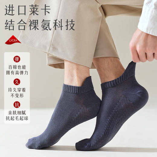 【国标消臭认证 7A级抗菌】猫人薄款消臭短袜 新疆精梳棉 吸汗透气 柔软亲肤 商品图4