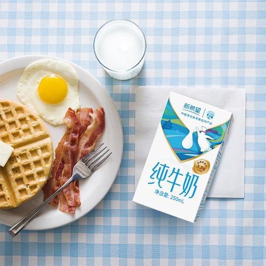 新希望盒装纯牛奶 250ml*24/件 商品图4