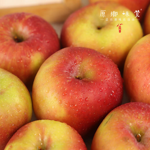 小金吴大姐生态红苹果（基地直发-邮政平邮） | 多种规格，来自四川小金，生产者：吴明清【合作生产·公平贸易】 商品图3