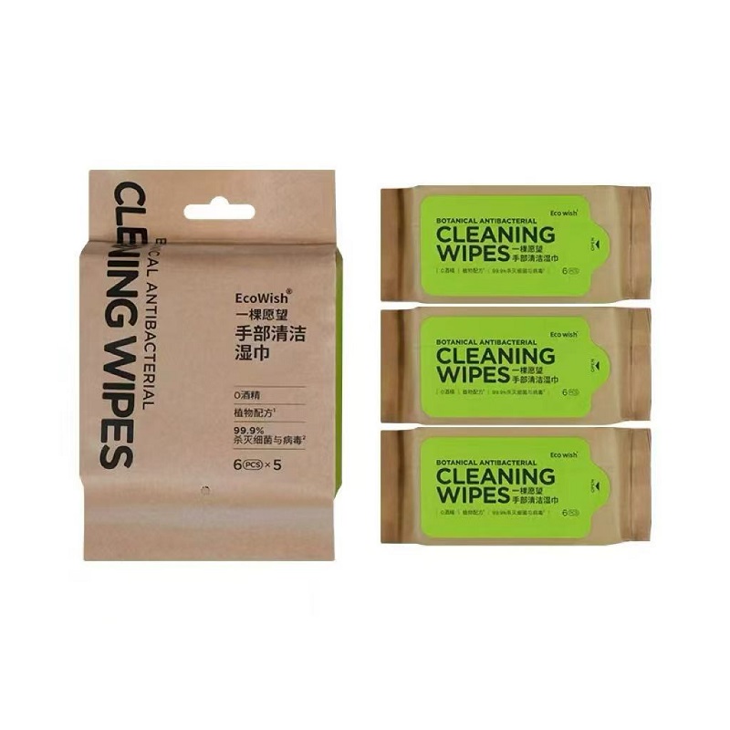 华西20251119-EcoWish手部清洁湿巾6片/一袋