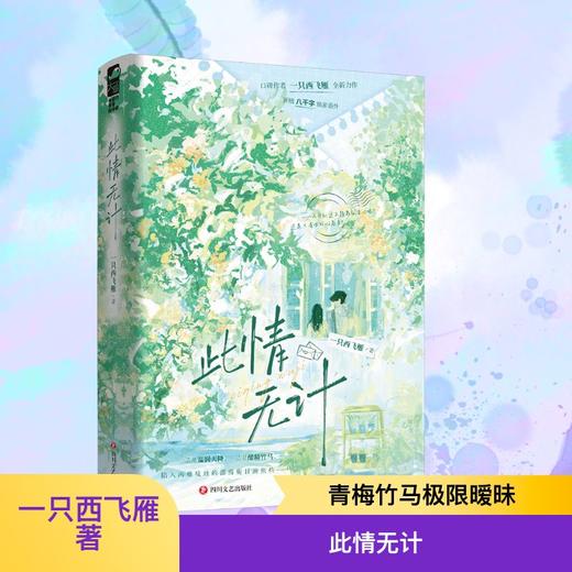 此情无计 商品图0