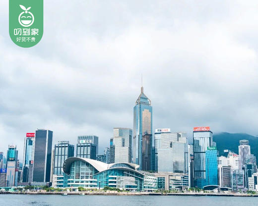 【2025|冬令营】港珠澳5天4晚三城联动精品游学冬令营/1名（营地：中国香港、澳门）【叼生活】 商品图3