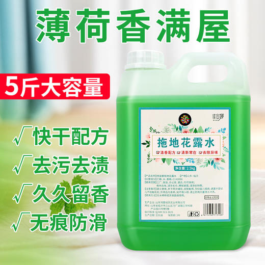 地板清洁剂强力去污除垢木地板清洁液增亮地板洁瓷砖花露水清洁剂 商品图1