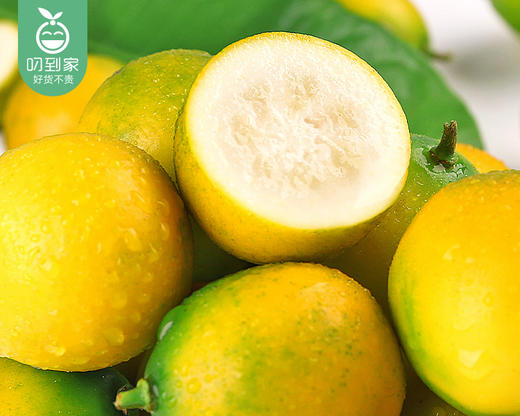 广西脆皮金桔（小果）/1份（400g±20g） 商品图1