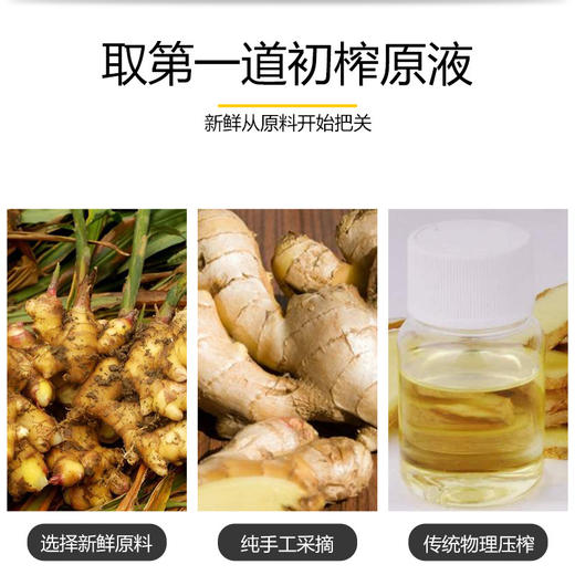 按摩精油开背老姜推拿油通经络推背刮痧spa美容院专用现货 批发 商品图1