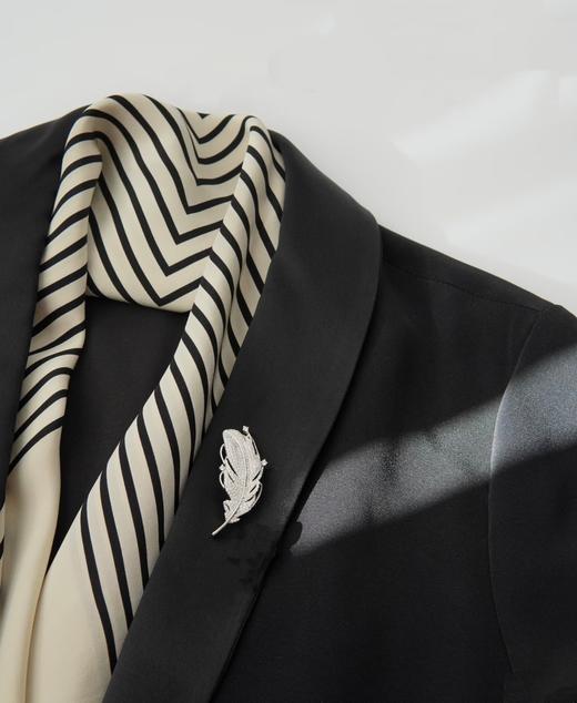 H家镶钻飞羽胸针，将羽毛的翩跹姿态巧妙融入设计 商品图2