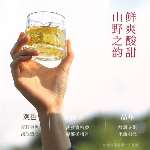 【新品】梅见杨梅青梅酒330ml*2瓶 商品图7