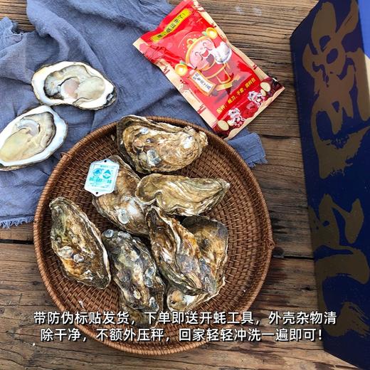 【正宗乳山生蚝】“乳山牡蛎”商标授权； •国家地标产品标识； •乳山政府授予的溯源防伪码！ 商品图3