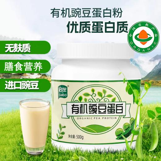 双塔启伴豌豆蛋白粉 植物蛋白 无麸质代餐奶 商品图0