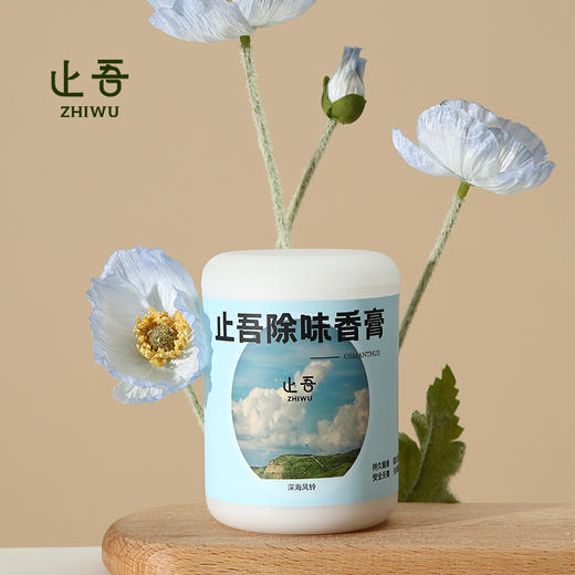 【止吾除味香膏】 胖东来同款除味神器  自然植萃香气 车载香膏 商品图2