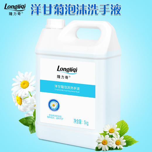 隆力奇清香抑菌泡沫型洗手液儿童可用大桶补充装按压瓶家庭用包邮 商品图1